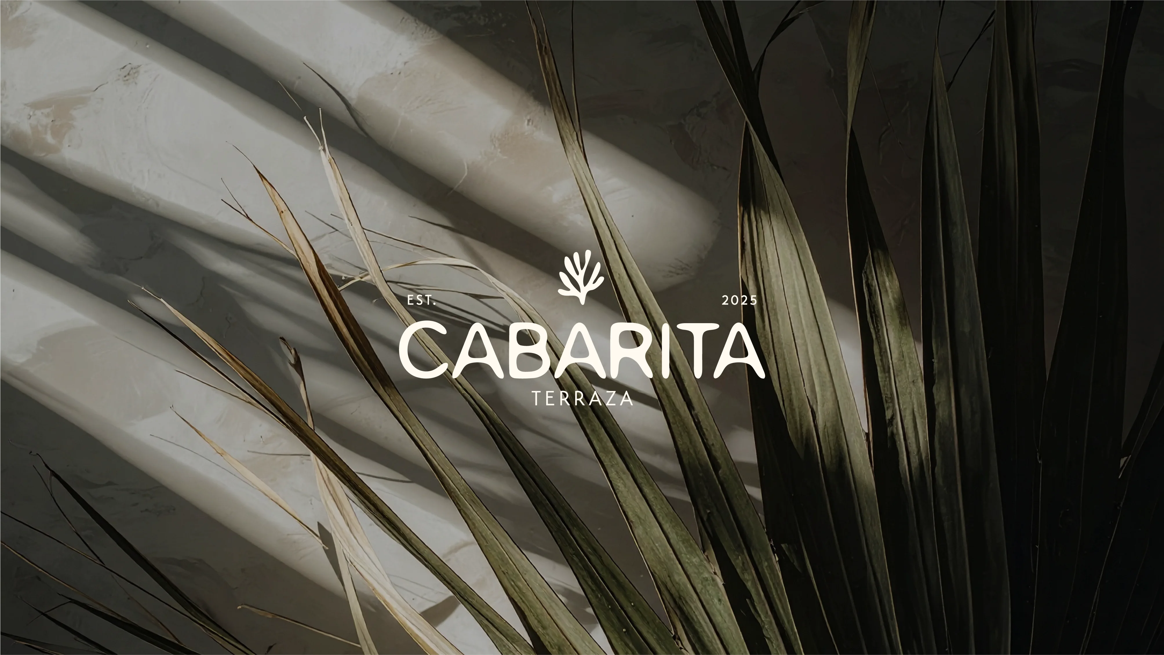 Cabarita