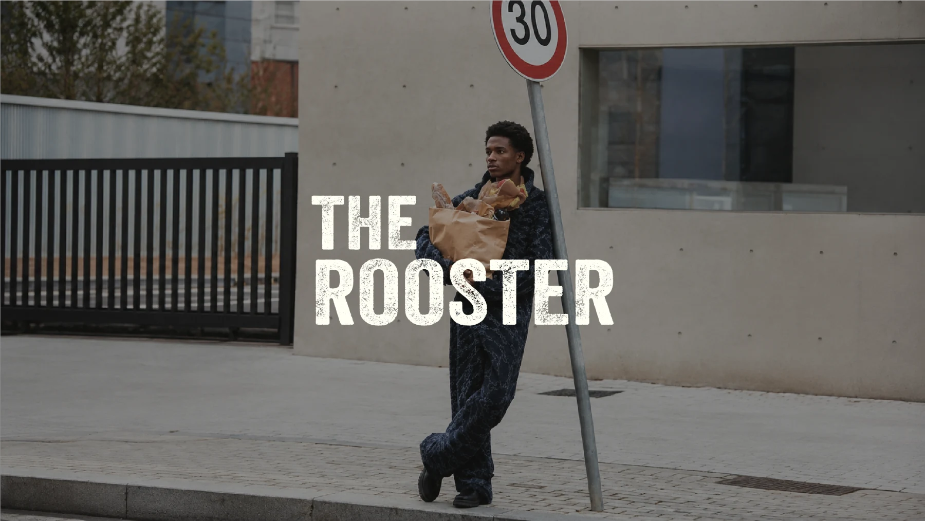 The Rooster